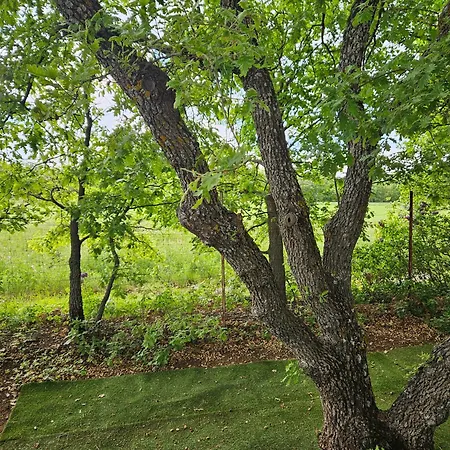 Hébergement de vacances Location Au Cœur De La Provence